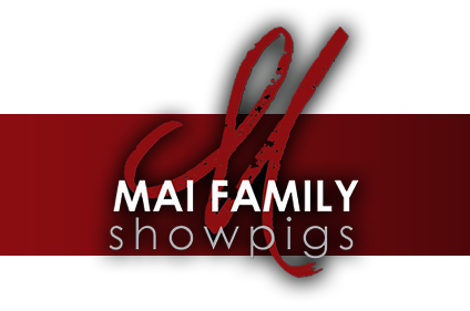 Mai Family Showpigs